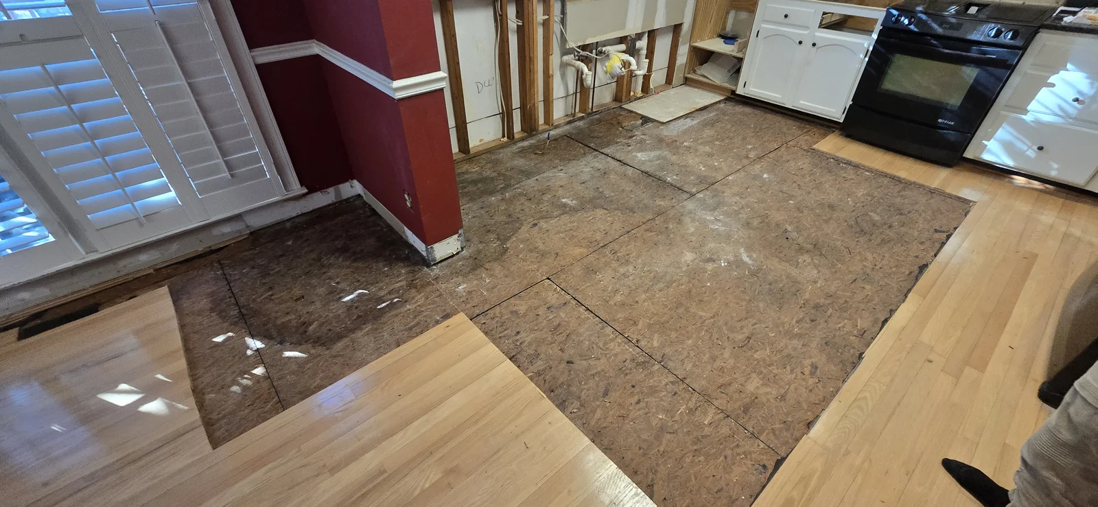 Subfloor Laser Elevation Mapping & Joist Sistering